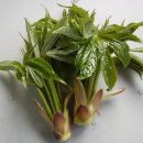 문바위농장 이미지