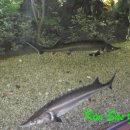 사슴방목장 이미지