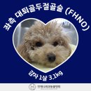 감자동물병원 네이버블로그