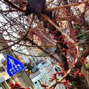 제주관광대학부속어린이집 이미지