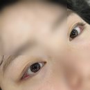 [서울 신도림] 신도림 속눈썹펌 가성비 테크노마트 , 안나뷰티 후기