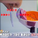 블루컷 이미지