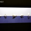 한성국제 이미지