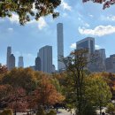 센트럴파크 7 | [뉴욕 여행 7] 뉴욕 센트럴파크에서 아폴로 베이글 먹은 후기, 가격 (+크루즈 투어 자유의 여신상 사진...