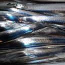 1대물호 이미지