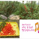 아인농장 이미지