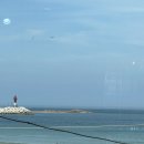 카페도쎄 | 태안 만리포해수욕장 오션뷰 대형 카페 도쎄비다 메뉴 가격 주차정보 내돈내산 후기