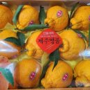 돌코롬마켓 네이버블로그