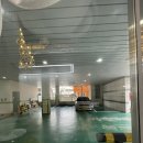 헤비수헤어성안점 | [청주 성안길] 청주 시내 미용실 헤비수헤어 성안점에서 두피클리닉 받고 왔어요! - 23.12.19