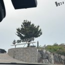 머무는자리 | 태안 : 가성비 숙소 추천 달이 머무는 바다 B1 후기
