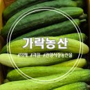 관양농산
