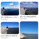 🇦🇺🌏🐨🦘🍀 / 시드니여행기✌🏻