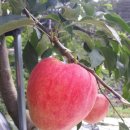 태송농원 이미지