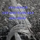 강남근린공원 이미지