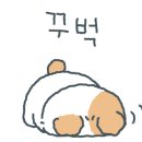 자매포차 이미지