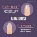 손톱모양 이미지