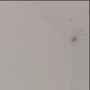 원종금맥한의원 이미지