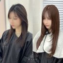 붙임머리 - 화성시 | 붙임머리