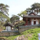 체락정 이미지