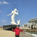 정동진역 이미지