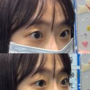 네케아(NEKEA)