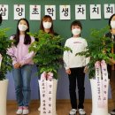 삼양초 이미지