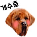 닥터호오 동물병원 이미지