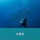 신흥호