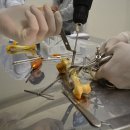 부산행정사무소 이미지