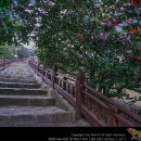 서천(목포) 이미지