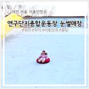 웅촌운동장 운동시설 | 대전 겨울나들이 가성비 최고 눈썰매장 연구단지종합운동장