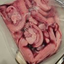 부산 일진수산 산 꼼장어 / 곰장어볶음으로 여름 보양식을 캠핑장에서 즐겨보세요.