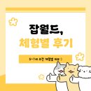 고래동물병원 | 잡월드 어린이체험관 체험별 리뷰 혹은 후기 ㅋㅋ