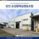 순성왕매실영농조합법인