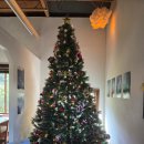 마스다방 | [제주] 난산리다방-브런치맛집, 흑돼지오픈샌드위치, 버섯크림수프,바질토마토에이드