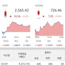 나우씨아이 이미지