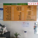 찐이야김빱