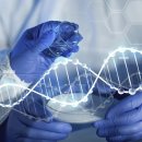 비엠엘의원 이미지