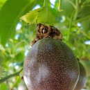 윤재농장 이미지