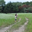 동희농원 이미지