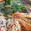 [속초⭐️대포] 강원도 속초 대구탕 맛집 속초맛 생대구탕 방문 후기!