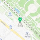 초록마을 바나나나무 이미지