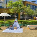 Book + Picnic 북크닉 이미지