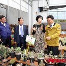 홍원식품 이미지