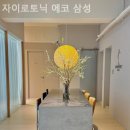 자이로토닉에코