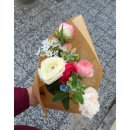 플라델리