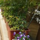 창동예술촌 | 경남 창원 창동예술촌, 주말에 산책하기 좋은 감성거리