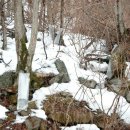 고로쇠펜션 이미지