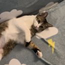 (주)석진상사 | 9월 셋째 주 - 기억소각 기억소각 기억소각