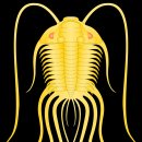 엔도픽스 | 생명의 시작 3 단계 오르도비스기(Ordovician Period)